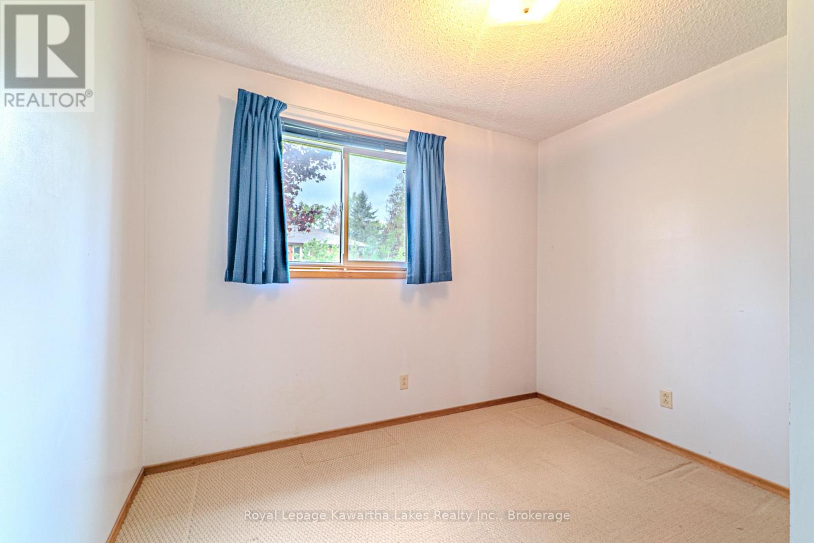 199 Mary Street W, Kawartha Lakes, Ontario  K9V 5N2 - Photo 22 - X13151252