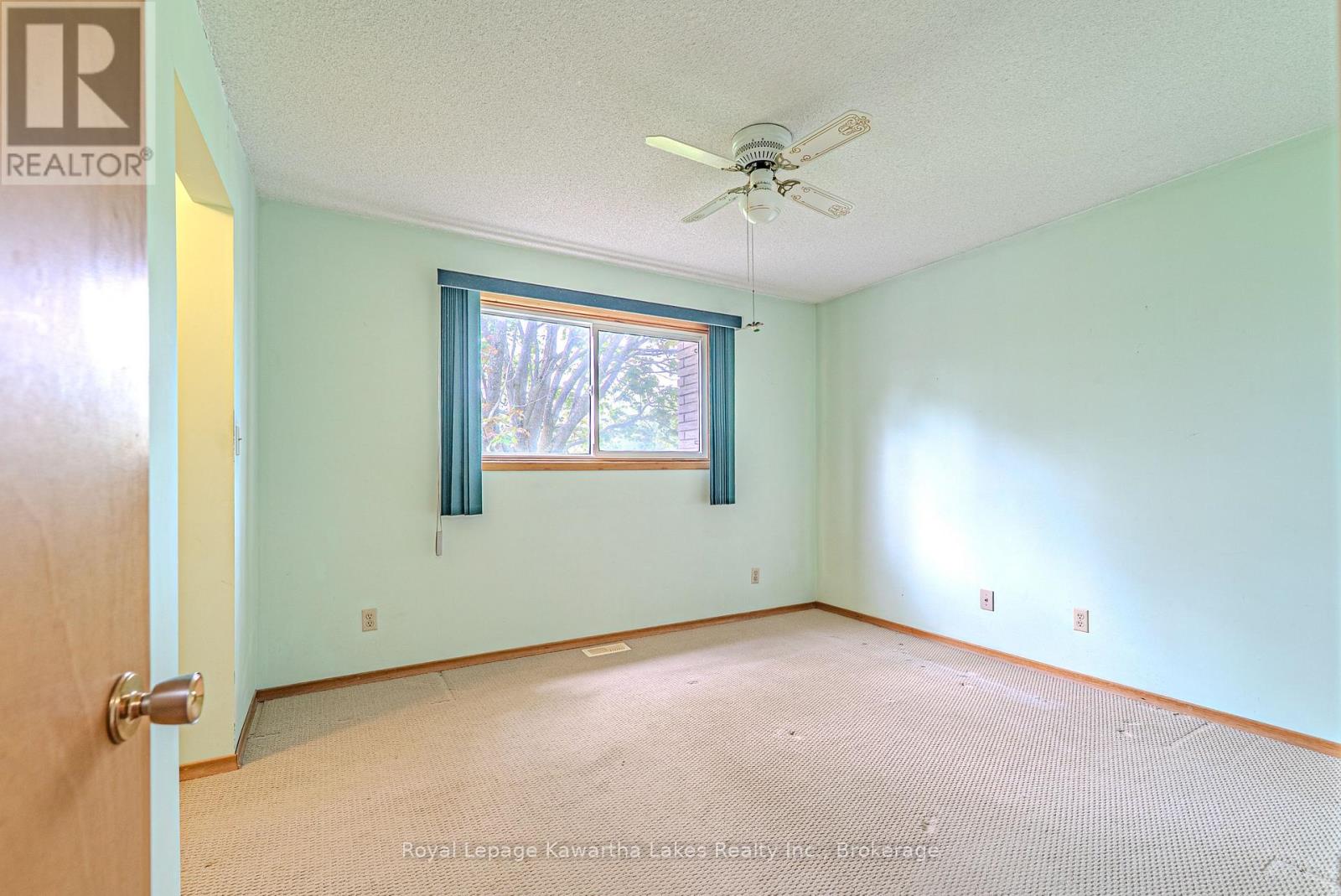 199 Mary Street W, Kawartha Lakes, Ontario  K9V 5N2 - Photo 25 - X13151252