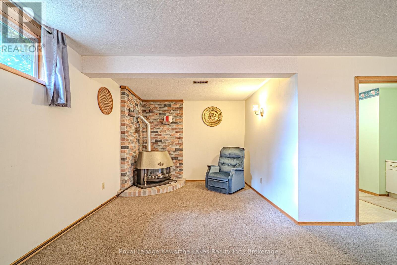 199 Mary Street W, Kawartha Lakes, Ontario  K9V 5N2 - Photo 33 - X13151252