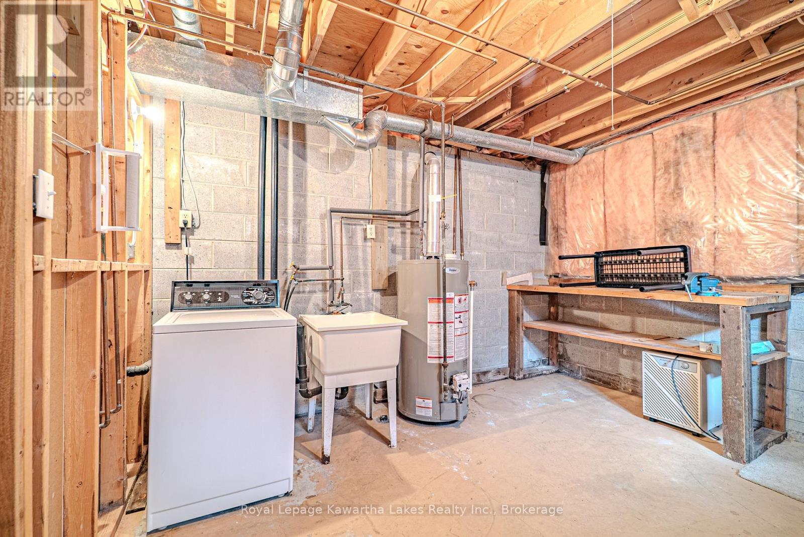 199 Mary Street W, Kawartha Lakes, Ontario  K9V 5N2 - Photo 37 - X13151252