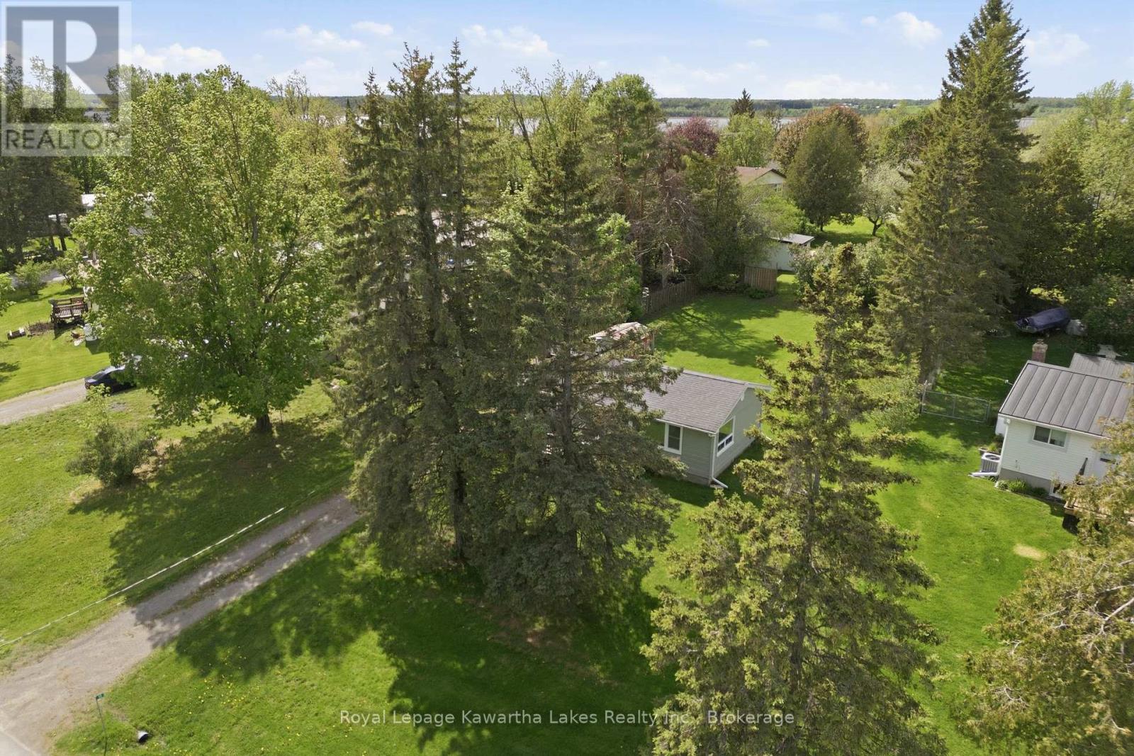 16 Marilyn Crescent, Kawartha Lakes, Ontario  K0L 1T0 - Photo 5 - X13163934