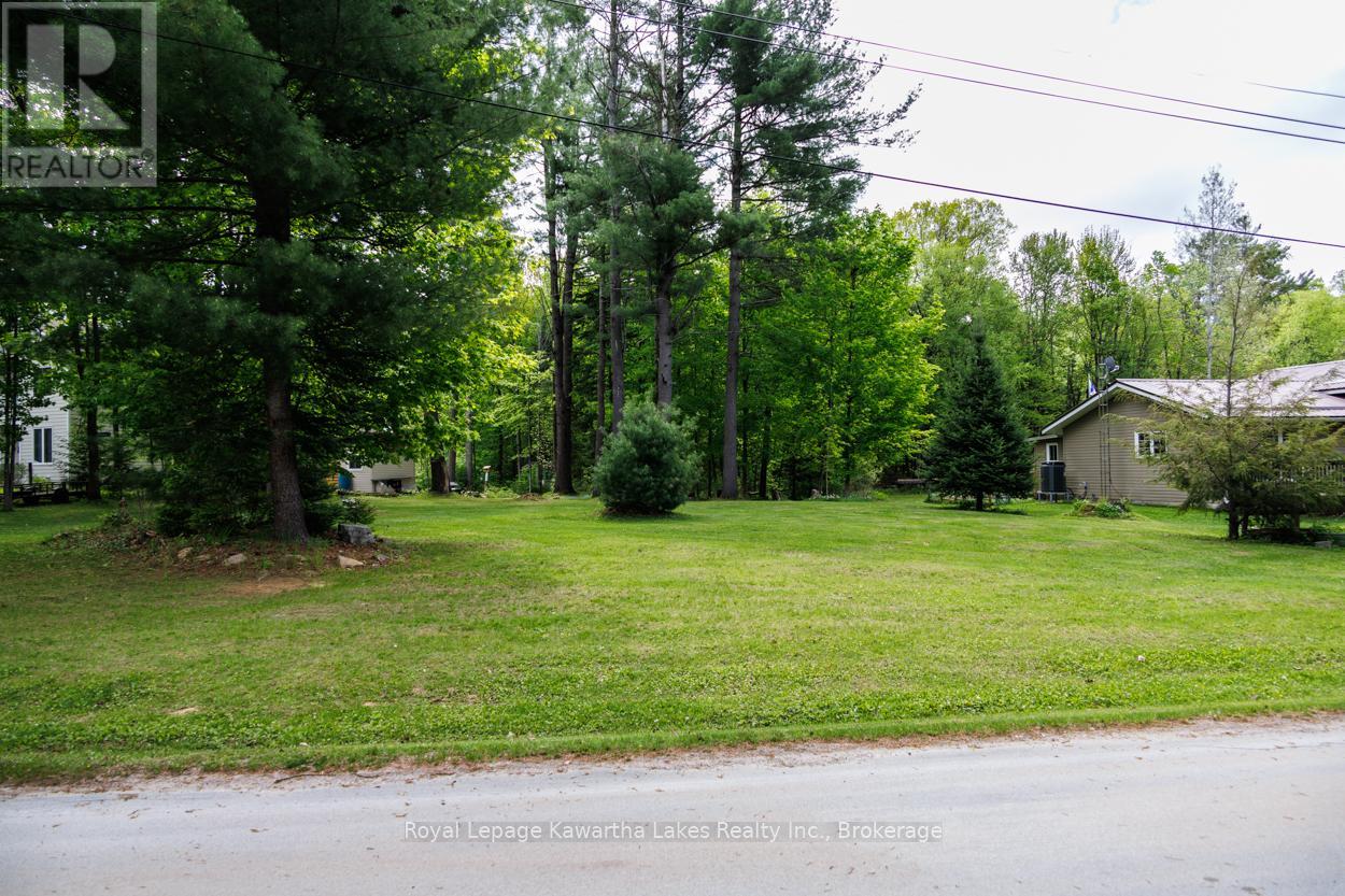 0 Government Dock Road, Kawartha Lakes, Ontario  K0M 2L0 - Photo 11 - X13211952