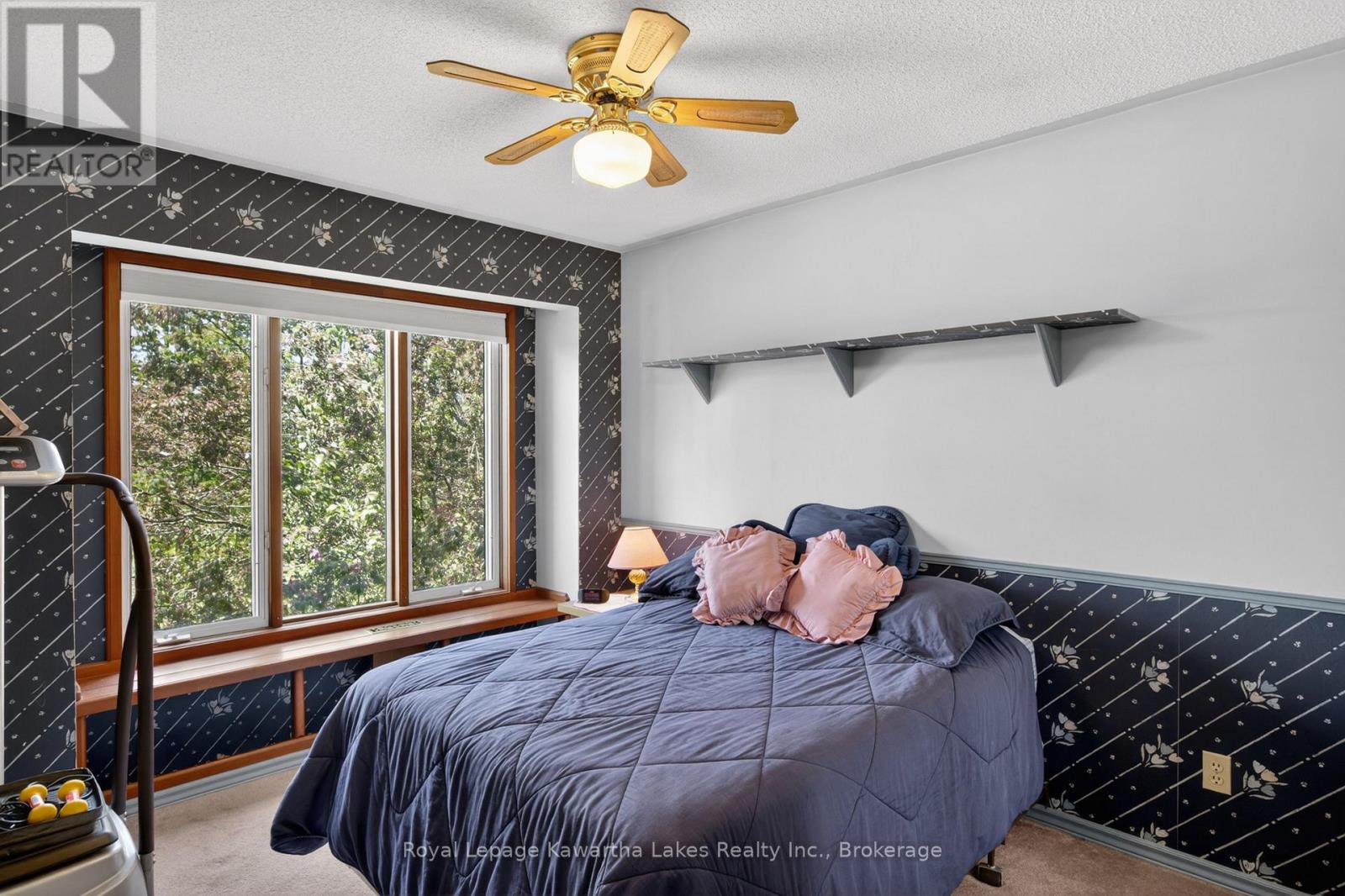 153 Pleasant Point Road, Kawartha Lakes, Ontario  K9V 4R6 - Photo 19 - X13238804