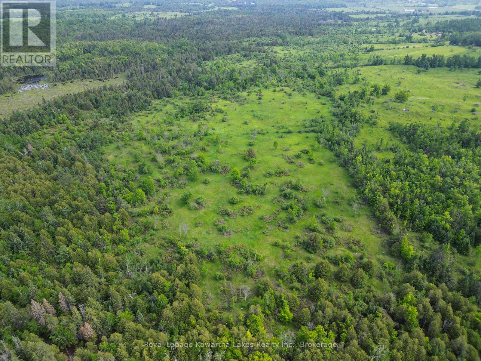 Lt 32 Rosco Lane, Kawartha Lakes, Ontario  K0M 1N0 - Photo 8 - X13454630