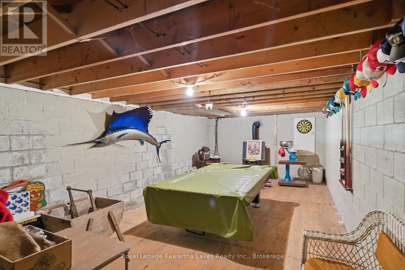 136 Oliver's Road, Kawartha Lakes, Ontario  K0M 1A0 - Photo 41 - X13473184