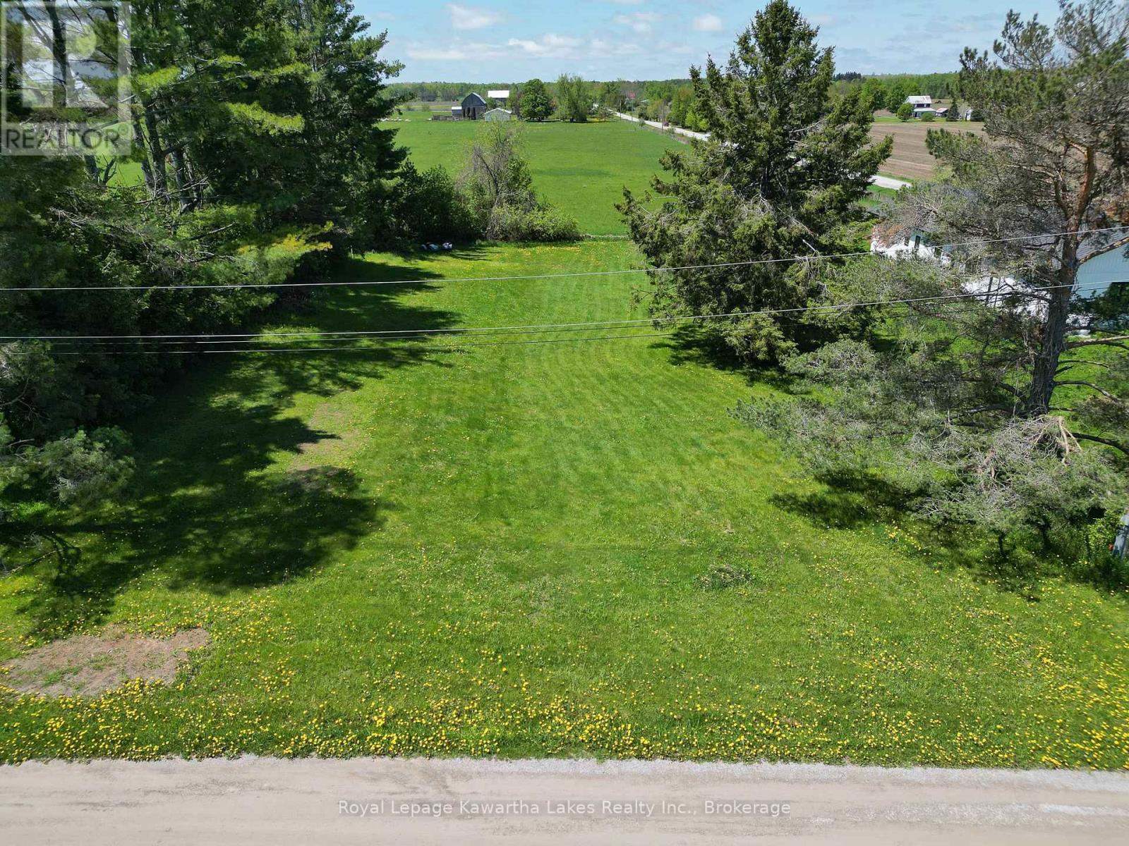 8 Fulsom Crescent, Kawartha Lakes, Ontario  L3V 0H5 - Photo 3 - X13473550