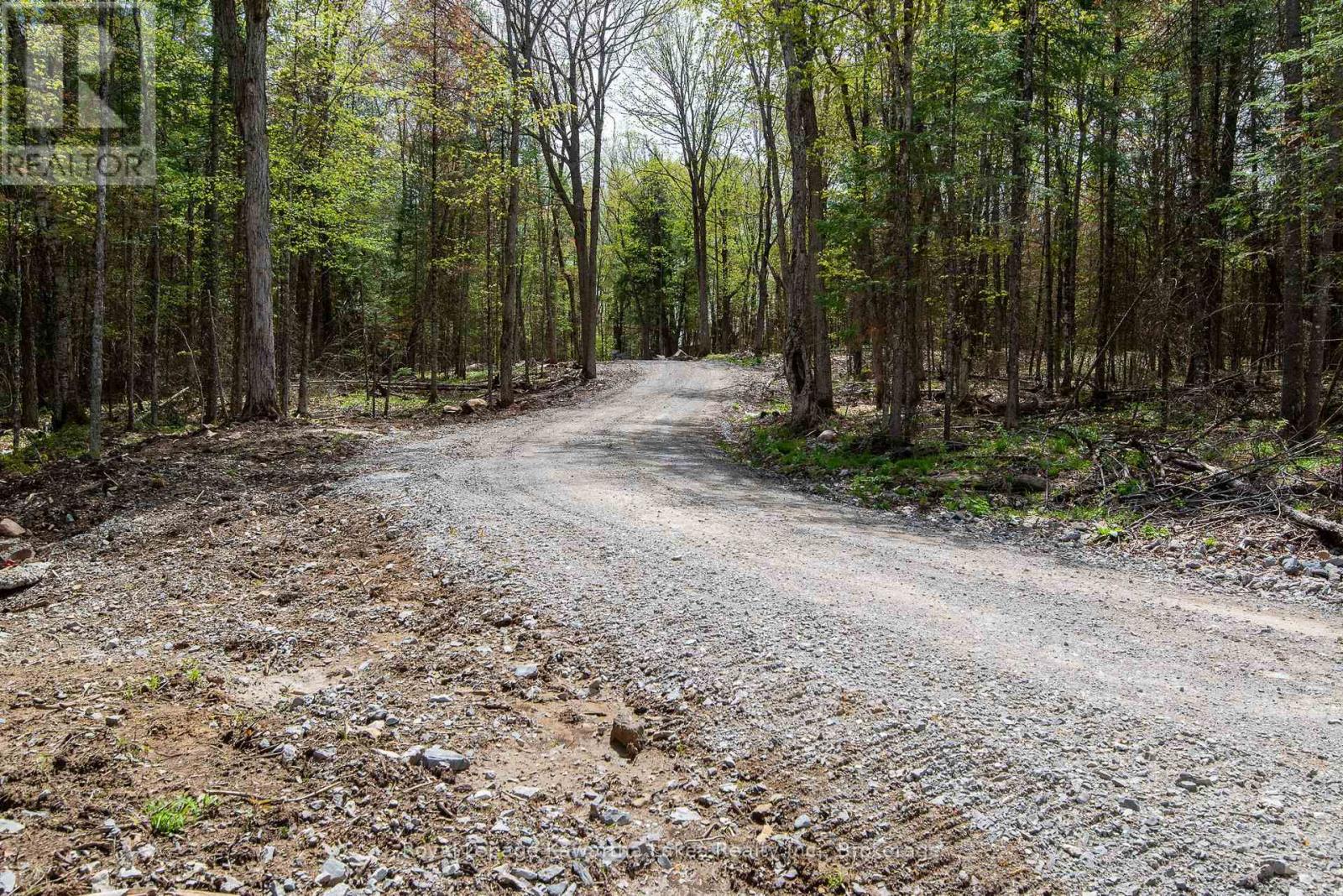 1851 Contau Lake Road, Highlands East, Ontario  K0M 1R0 - Photo 32 - X13500666
