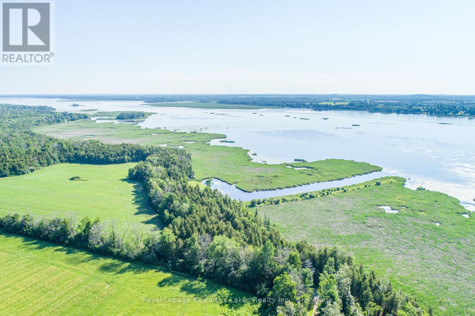 36 Spen Haven Road, Kawartha Lakes, Ontario  K9V 0K3 - Photo 10 - X13505708