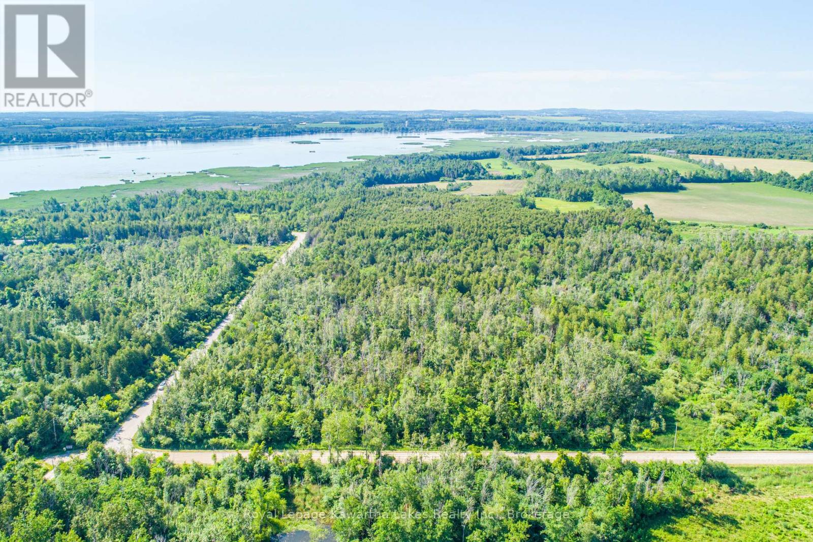 36 Spen Haven Road, Kawartha Lakes, Ontario  K9V 0K3 - Photo 14 - X13505708