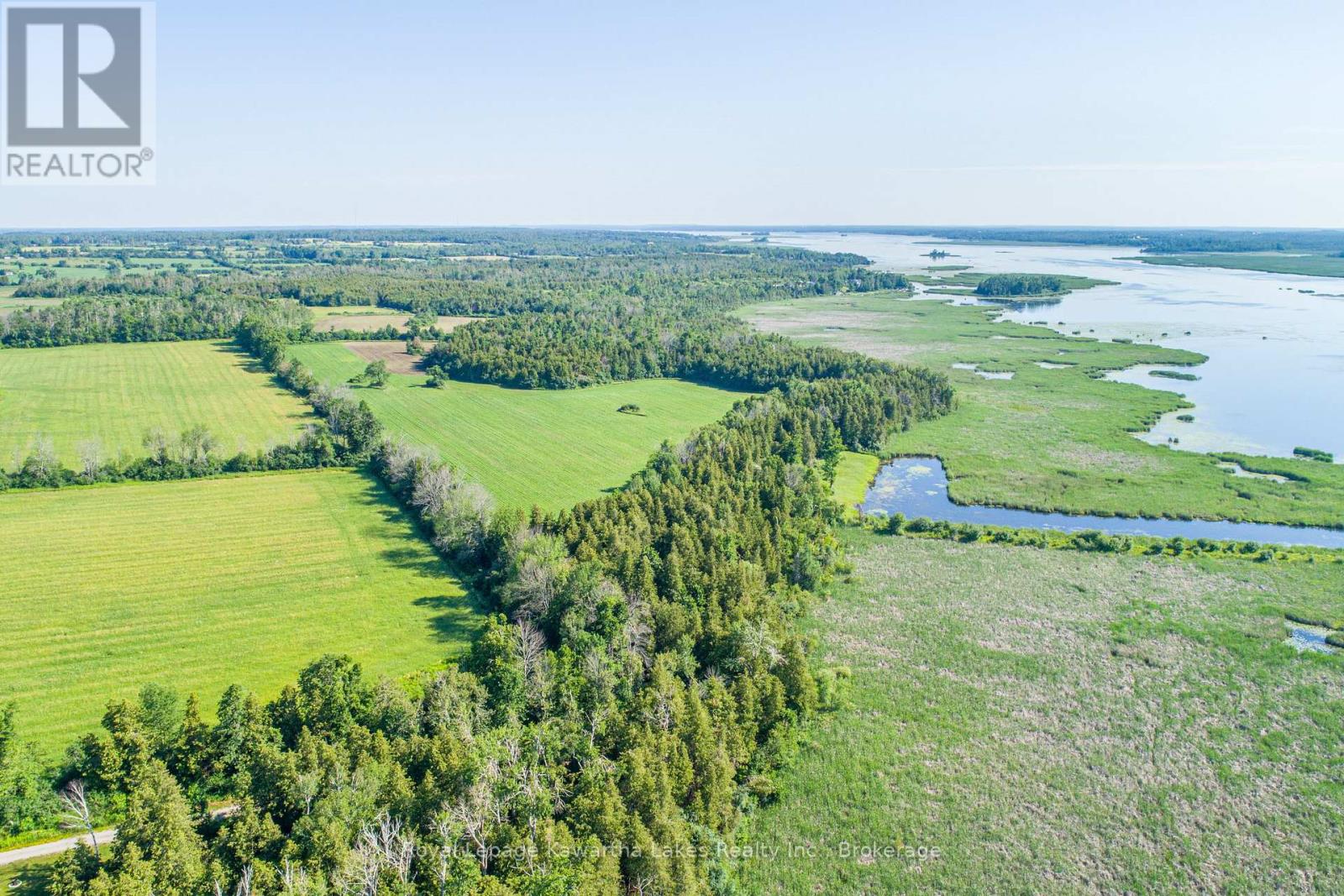 36 Spen Haven Road, Kawartha Lakes, Ontario  K9V 0K3 - Photo 3 - X13505708