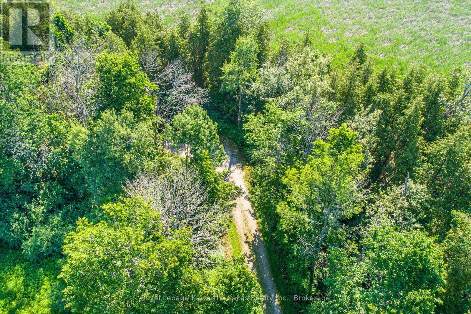 36 Spen Haven Road, Kawartha Lakes, Ontario  K9V 0K3 - Photo 7 - X13505708