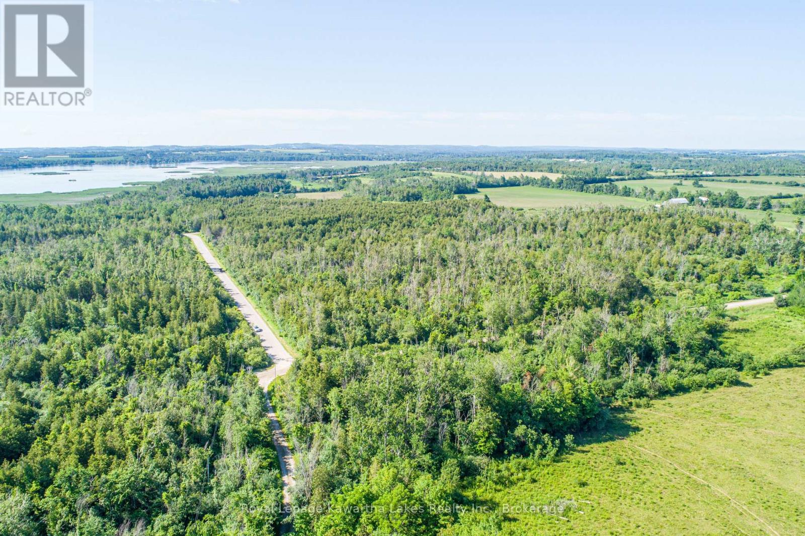 36 Spen Haven Road, Kawartha Lakes, Ontario  K9V 0K3 - Photo 8 - X13505708