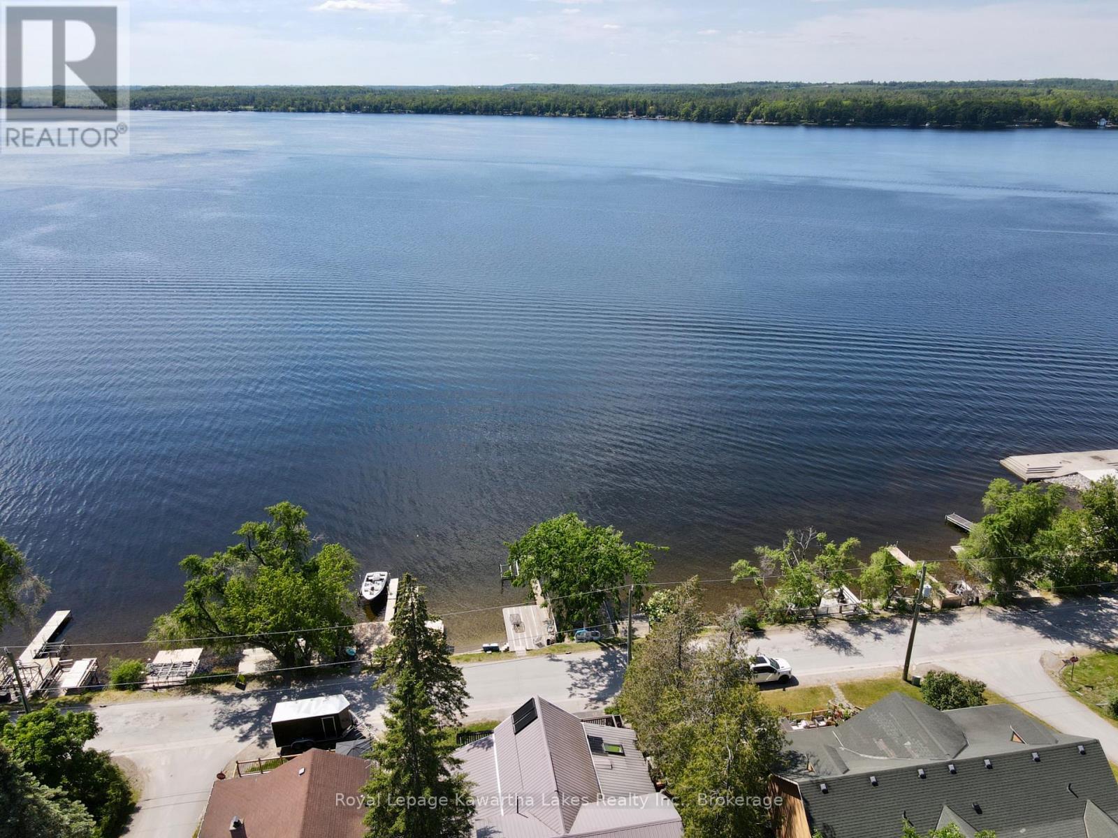 67 Hazel Street, Kawartha Lakes, Ontario  K0M 1L0 - Photo 47 - X13532356