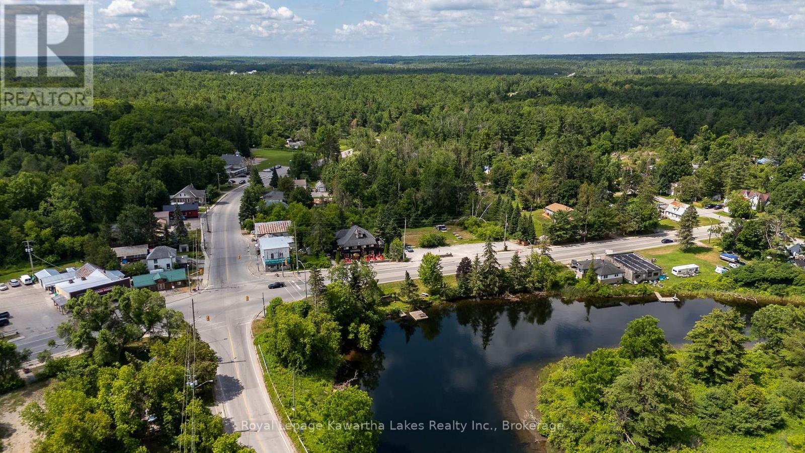 15 Cockburn Street, Kawartha Lakes, Ontario  K0M 1K0 - Photo 37 - X13543858