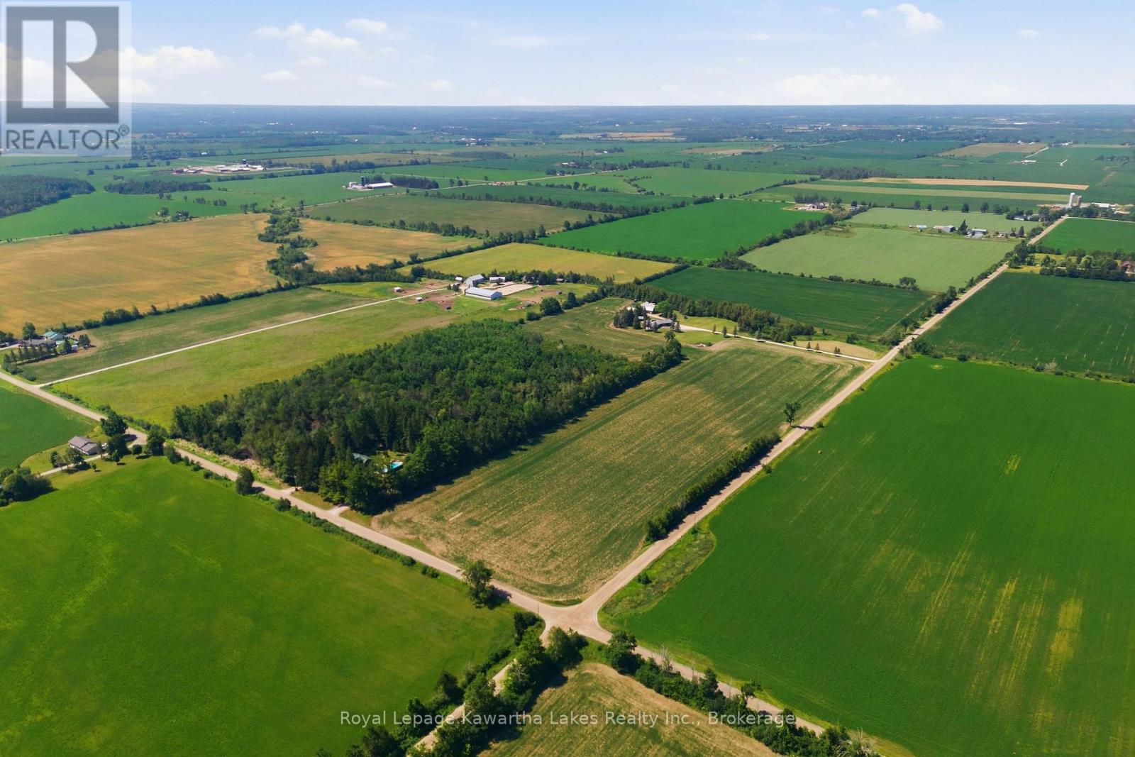 98 Brookview Road, Kawartha Lakes, Ontario  K9V 4R5 - Photo 49 - X13568500