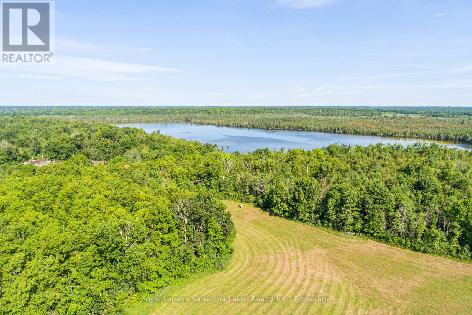 164 Sugar Bush Road, Kawartha Lakes, Ontario  K0M 2L0 - Photo 10 - X13582418