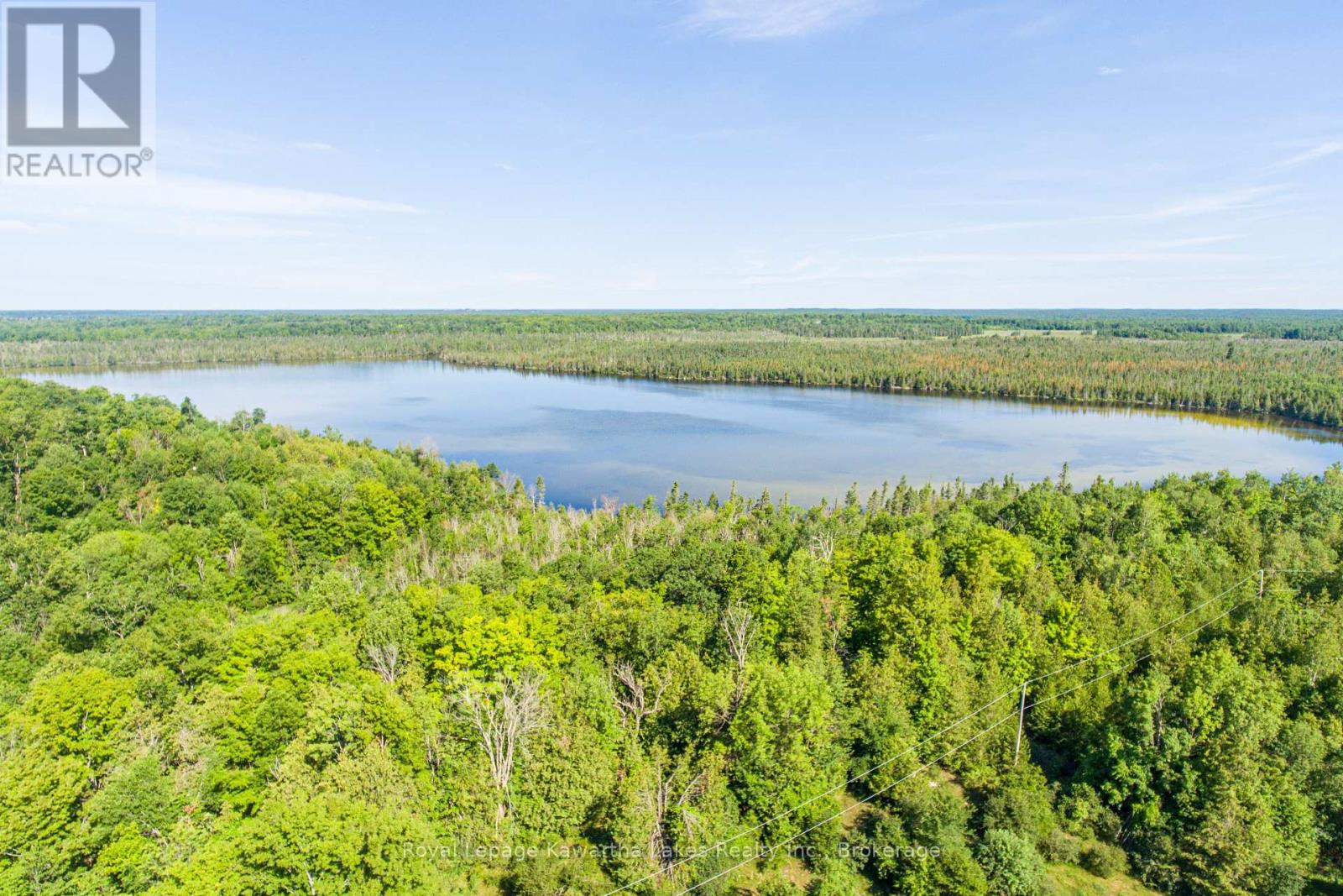 164 Sugar Bush Road, Kawartha Lakes, Ontario  K0M 2L0 - Photo 11 - X13582418