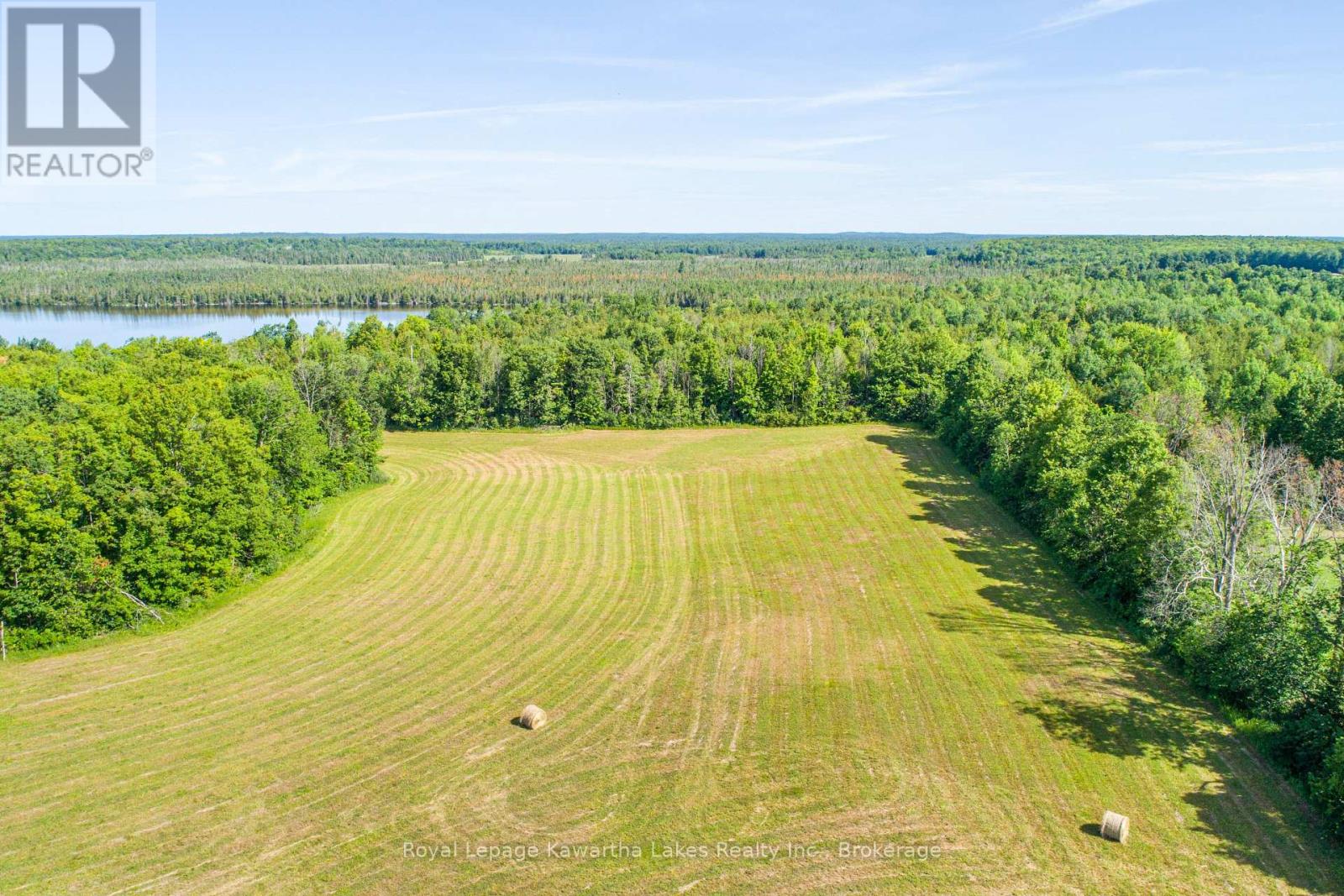 164 Sugar Bush Road, Kawartha Lakes, Ontario  K0M 2L0 - Photo 16 - X13582418