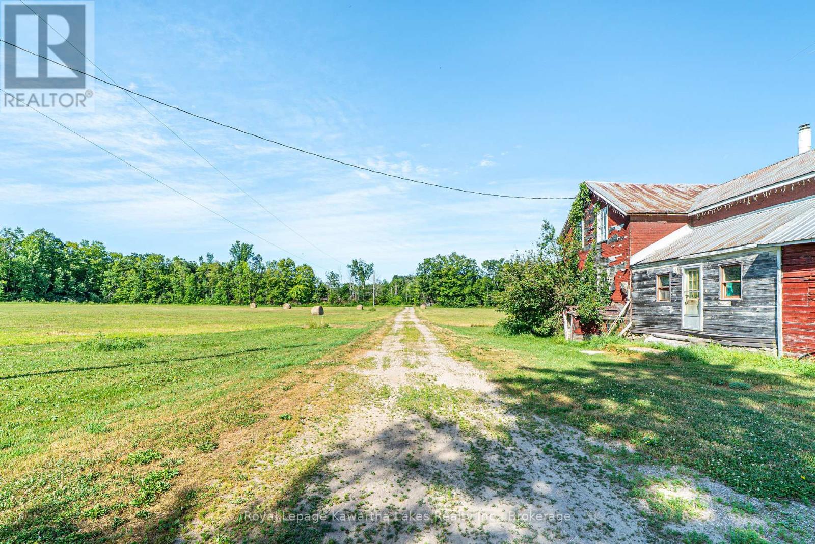 164 Sugar Bush Road, Kawartha Lakes, Ontario  K0M 2L0 - Photo 17 - X13582418