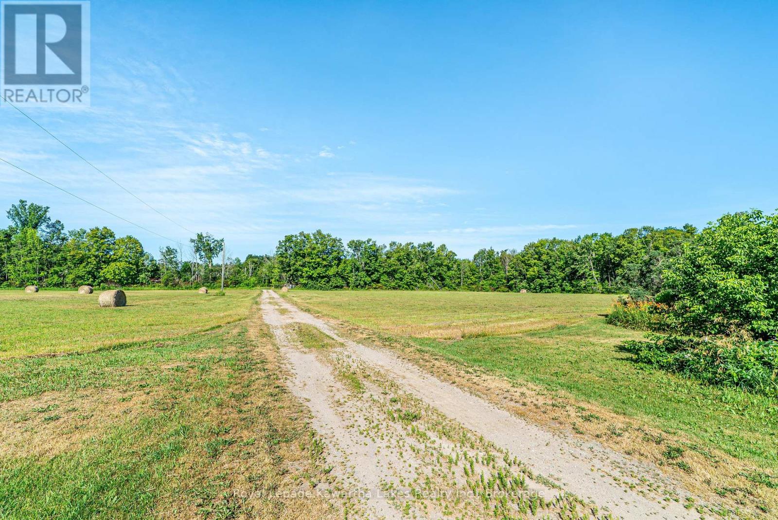 164 Sugar Bush Road, Kawartha Lakes, Ontario  K0M 2L0 - Photo 19 - X13582418