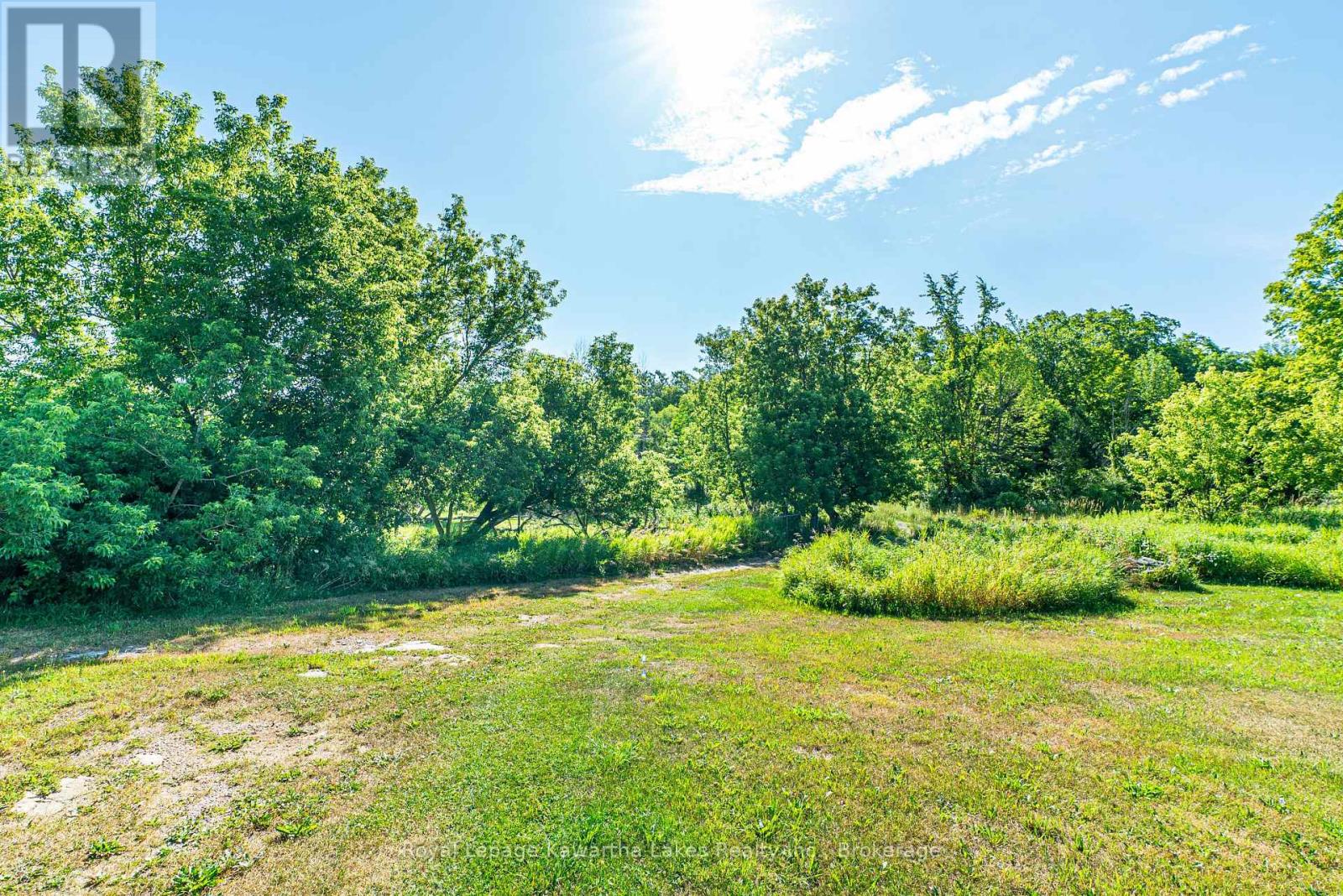 164 Sugar Bush Road, Kawartha Lakes, Ontario  K0M 2L0 - Photo 22 - X13582418