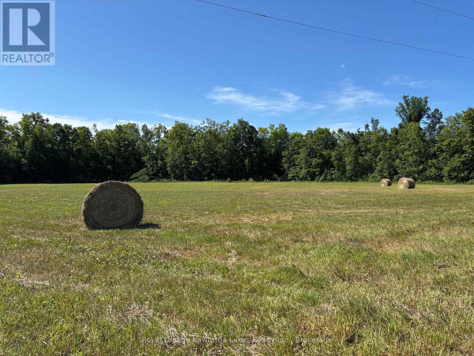 164 Sugar Bush Road, Kawartha Lakes, Ontario  K0M 2L0 - Photo 24 - X13582418
