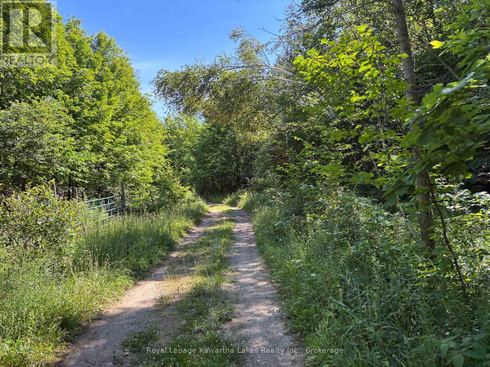 164 Sugar Bush Road, Kawartha Lakes, Ontario  K0M 2L0 - Photo 29 - X13582418