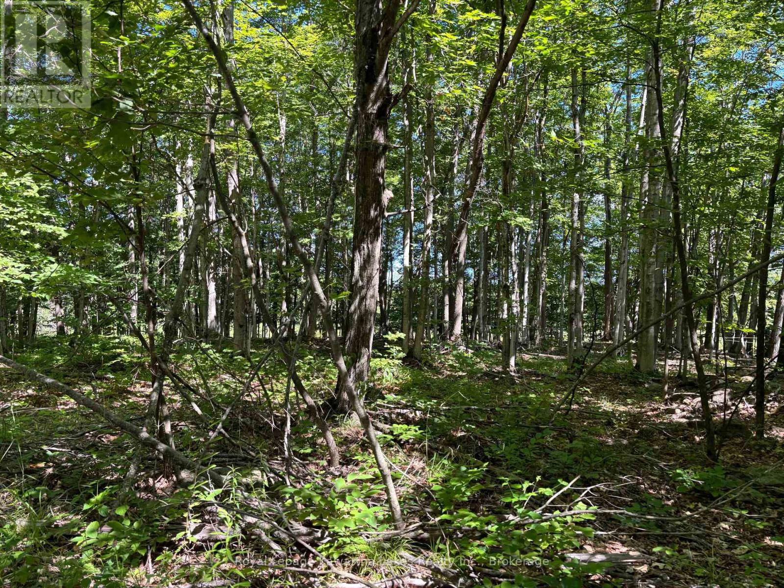 164 Sugar Bush Road, Kawartha Lakes, Ontario  K0M 2L0 - Photo 31 - X13582418