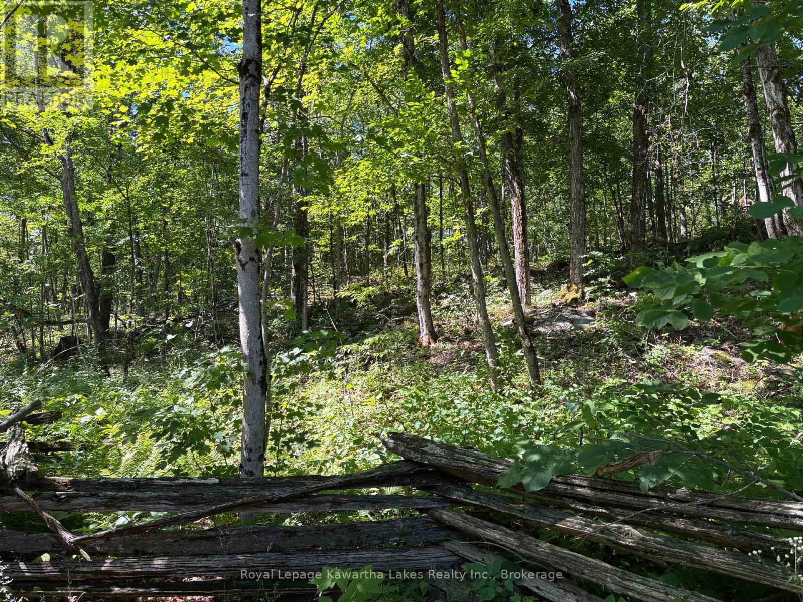164 Sugar Bush Road, Kawartha Lakes, Ontario  K0M 2L0 - Photo 34 - X13582418