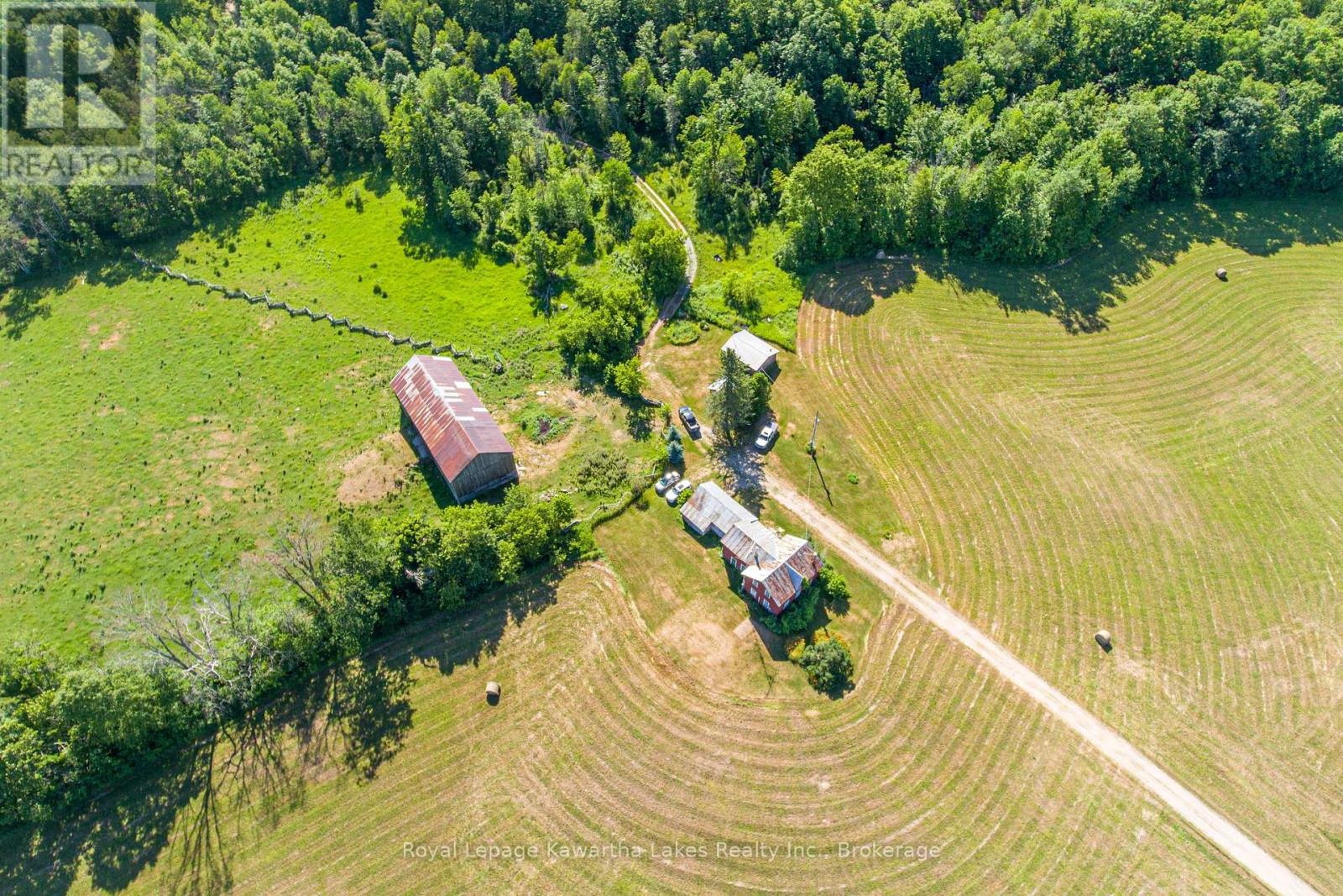 164 Sugar Bush Road, Kawartha Lakes, Ontario  K0M 2L0 - Photo 6 - X13582418