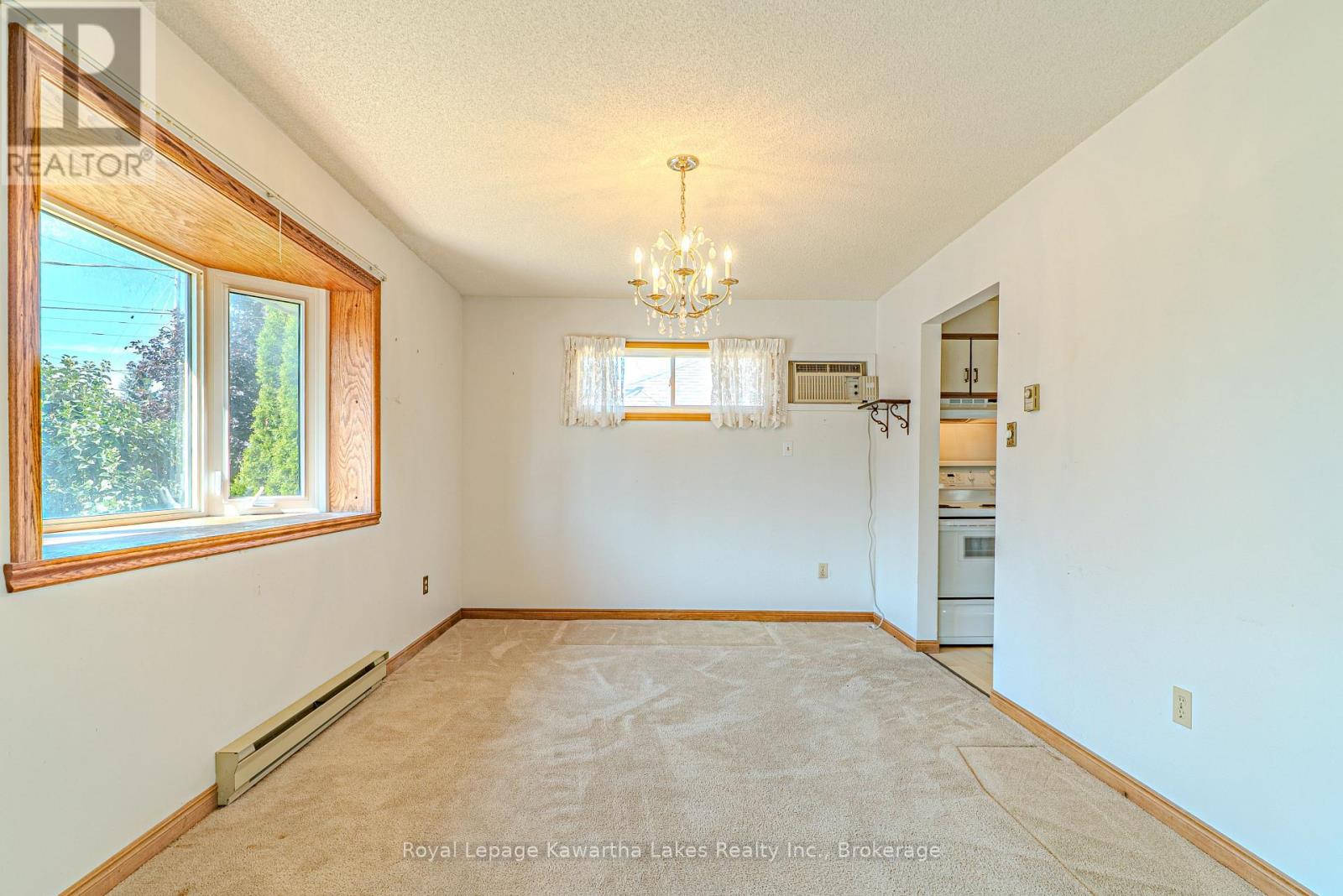 182 Colborne Street W, Kawartha Lakes, Ontario  K9V 6A1 - Photo 10 - X13589448