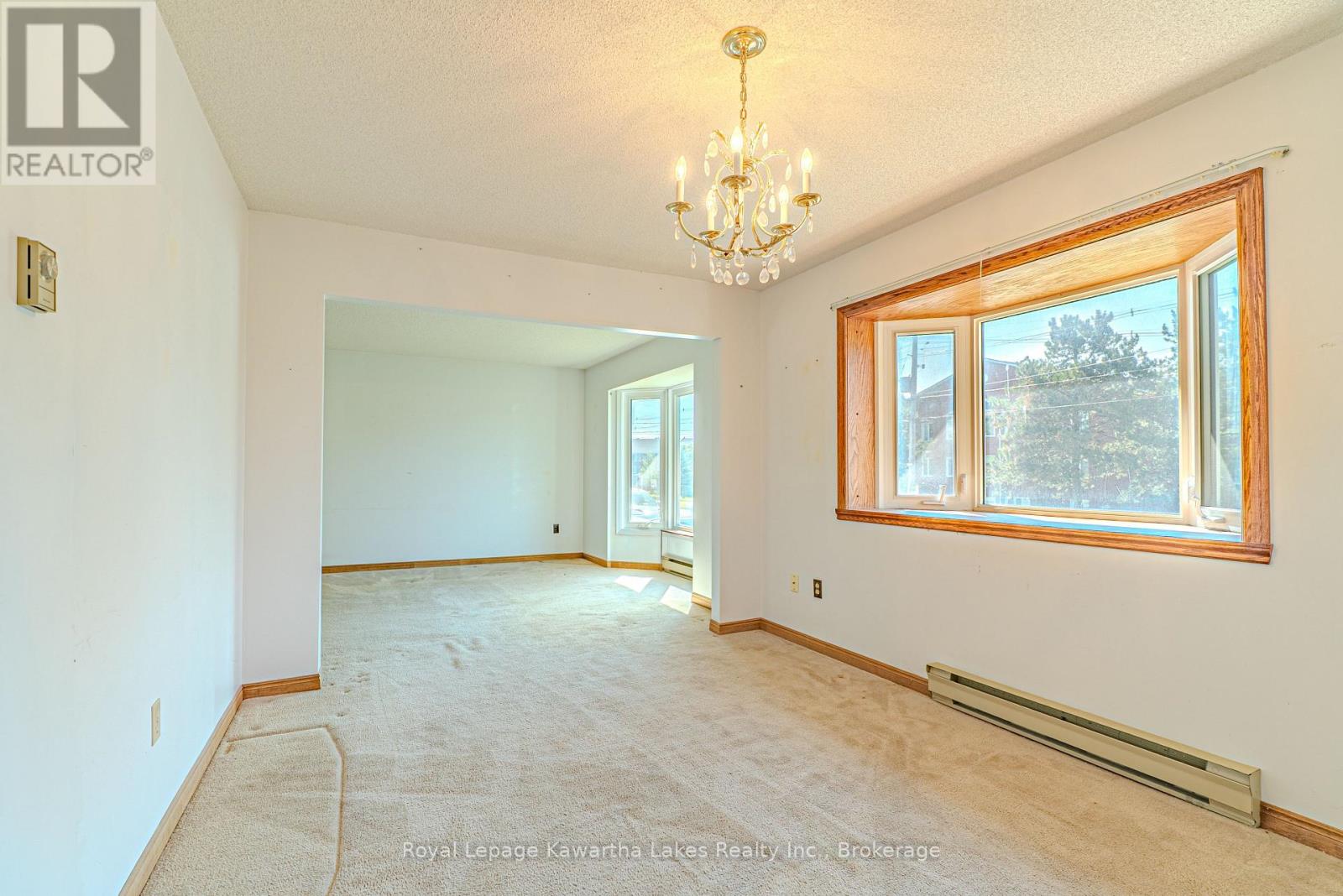 182 Colborne Street W, Kawartha Lakes, Ontario  K9V 6A1 - Photo 11 - X13589448