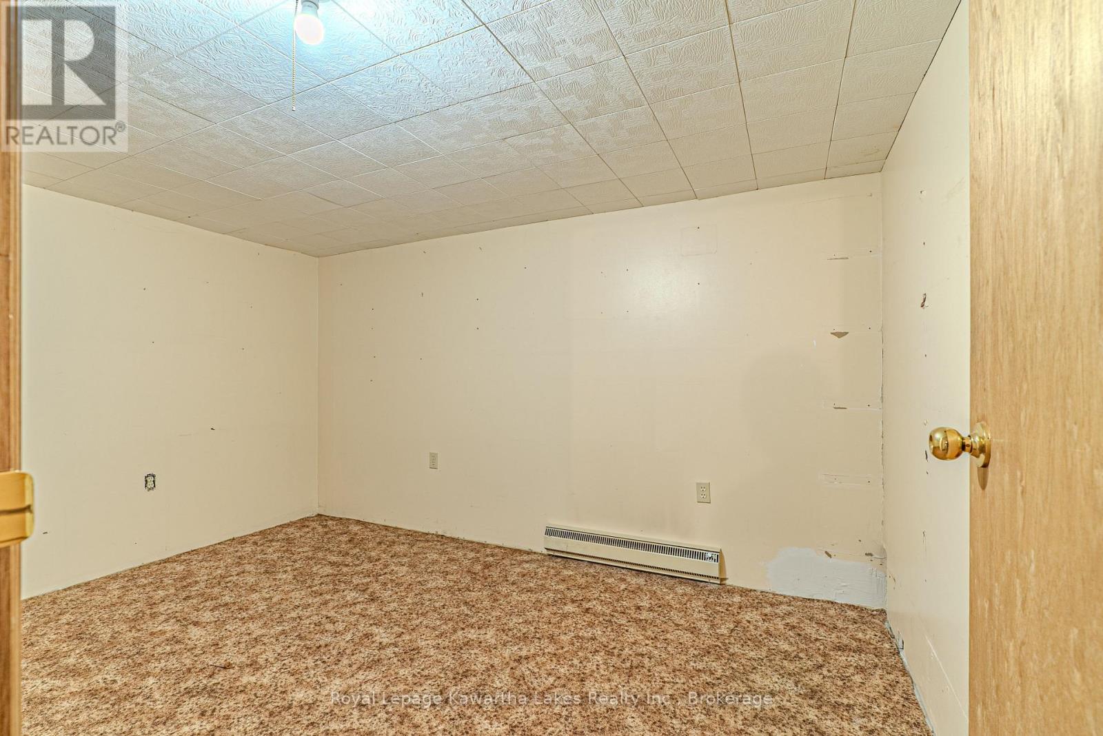 182 Colborne Street W, Kawartha Lakes, Ontario  K9V 6A1 - Photo 24 - X13589448