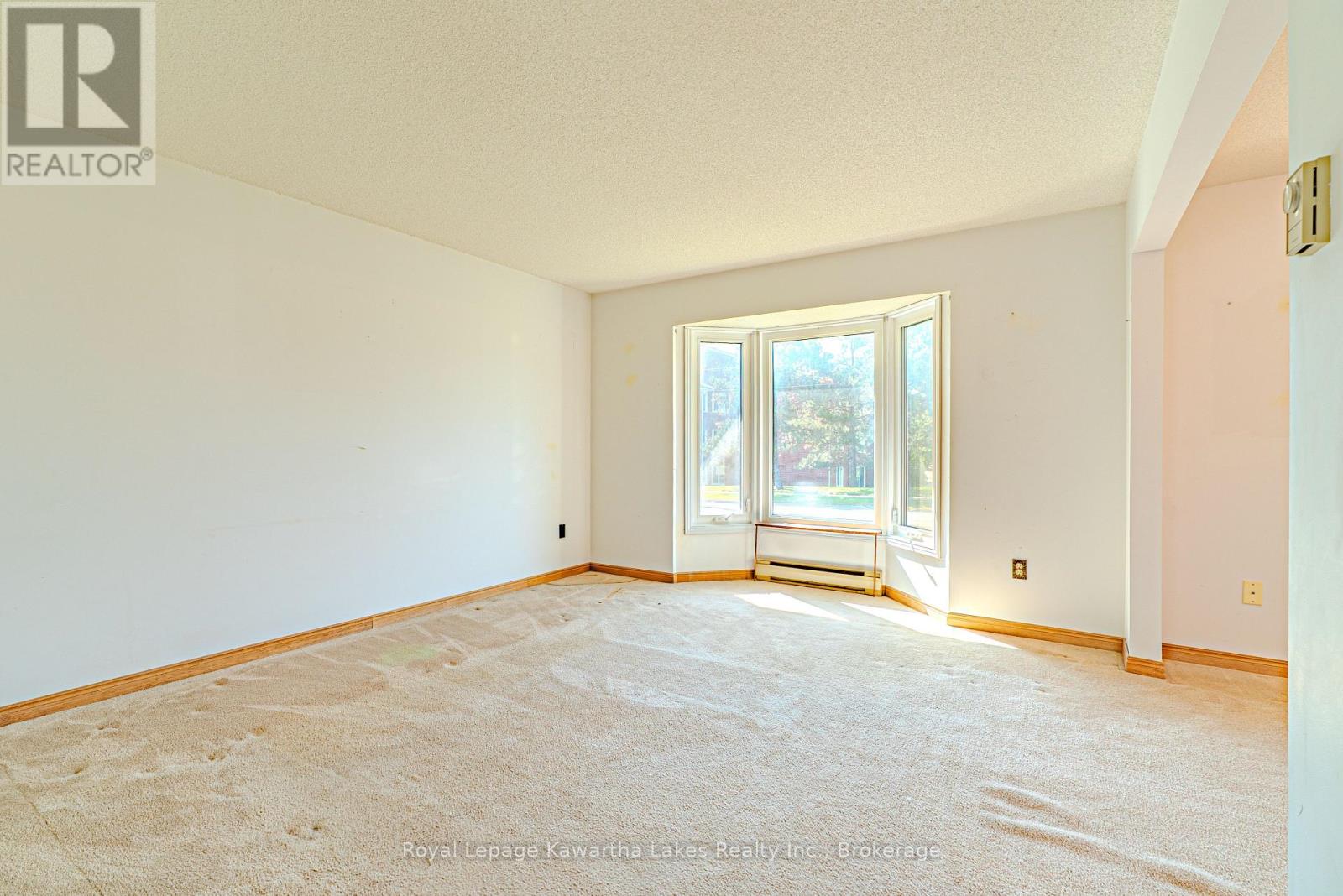 182 Colborne Street W, Kawartha Lakes, Ontario  K9V 6A1 - Photo 8 - X13589448