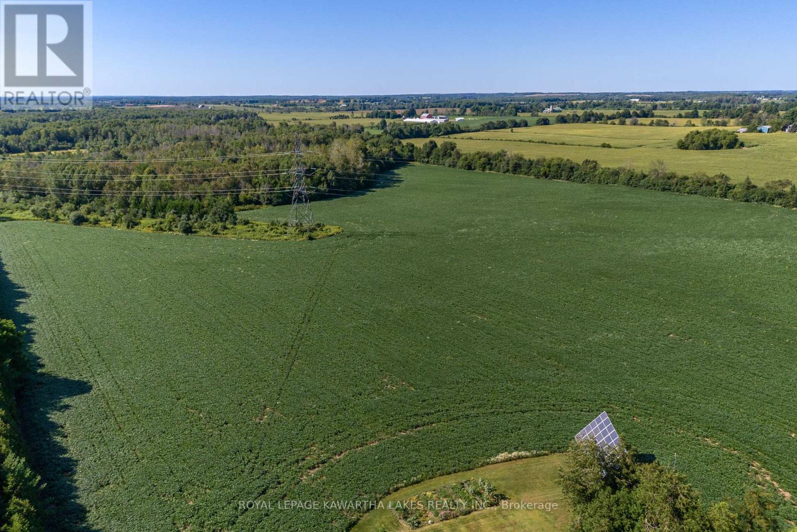 890 Woodville Road, Kawartha Lakes, Ontario  K0M 2T0 - Photo 45 - X13632524