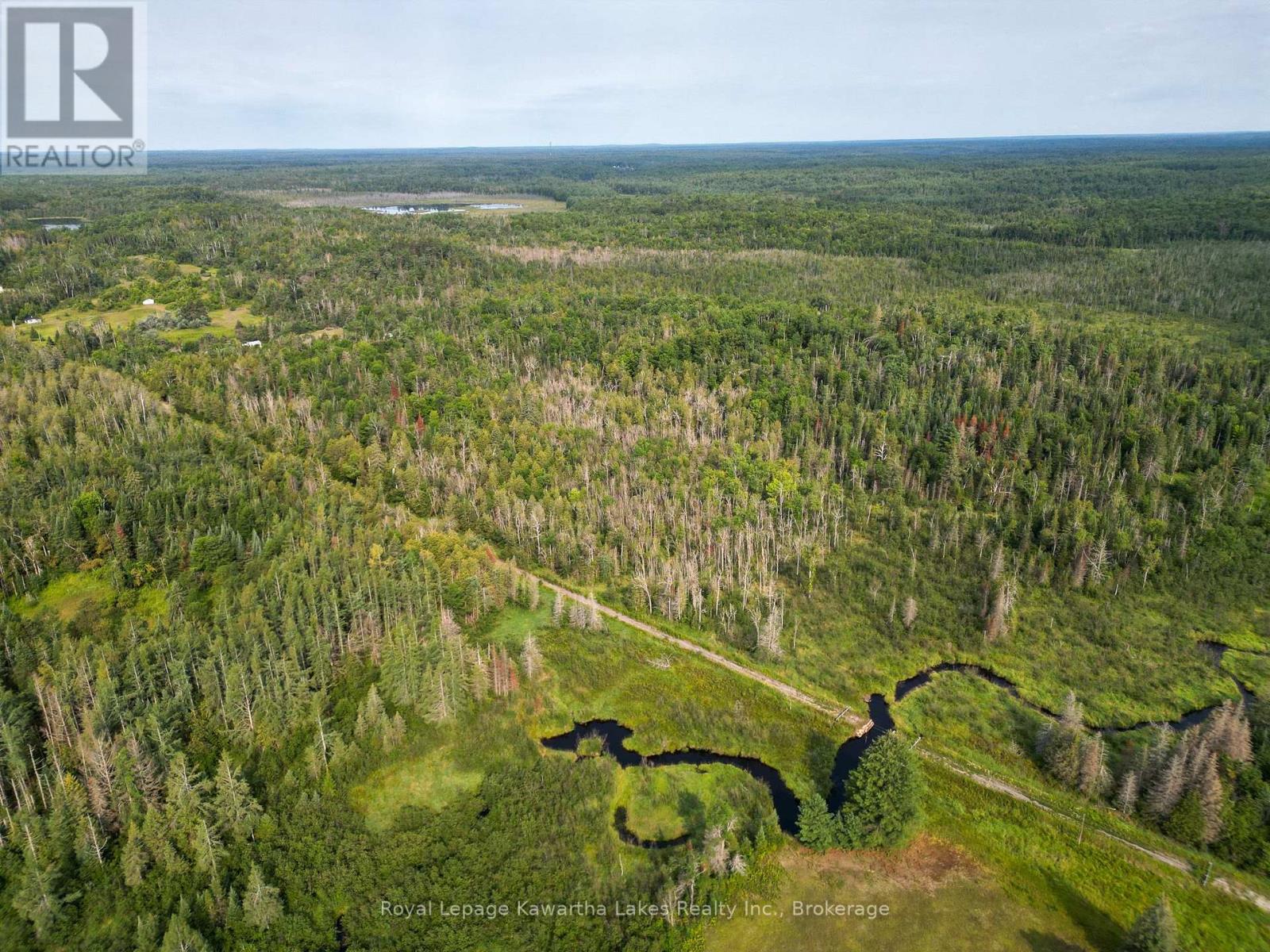 Lt 4 Dutch Line Road W, Trent Lakes, Ontario  K0M 2A0 - Photo 1 - X13670424
