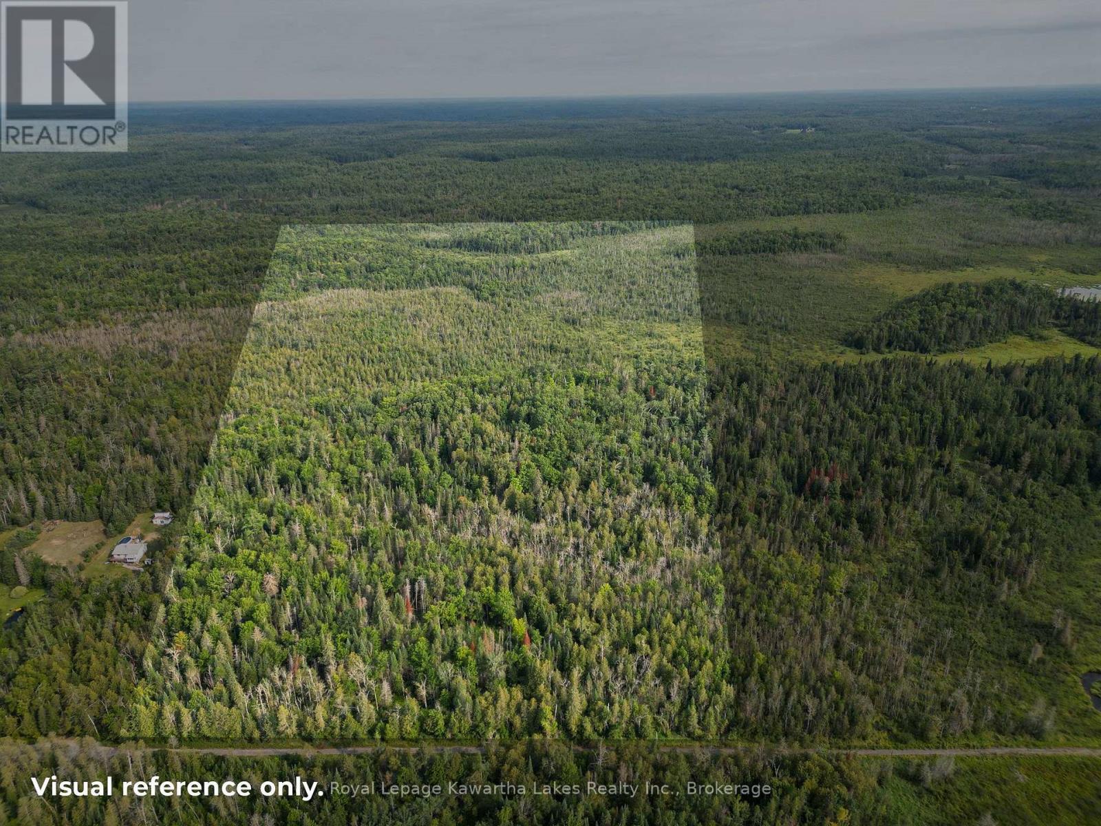 Lt 4 Dutch Line Road W, Trent Lakes, Ontario  K0M 2A0 - Photo 2 - X13670424