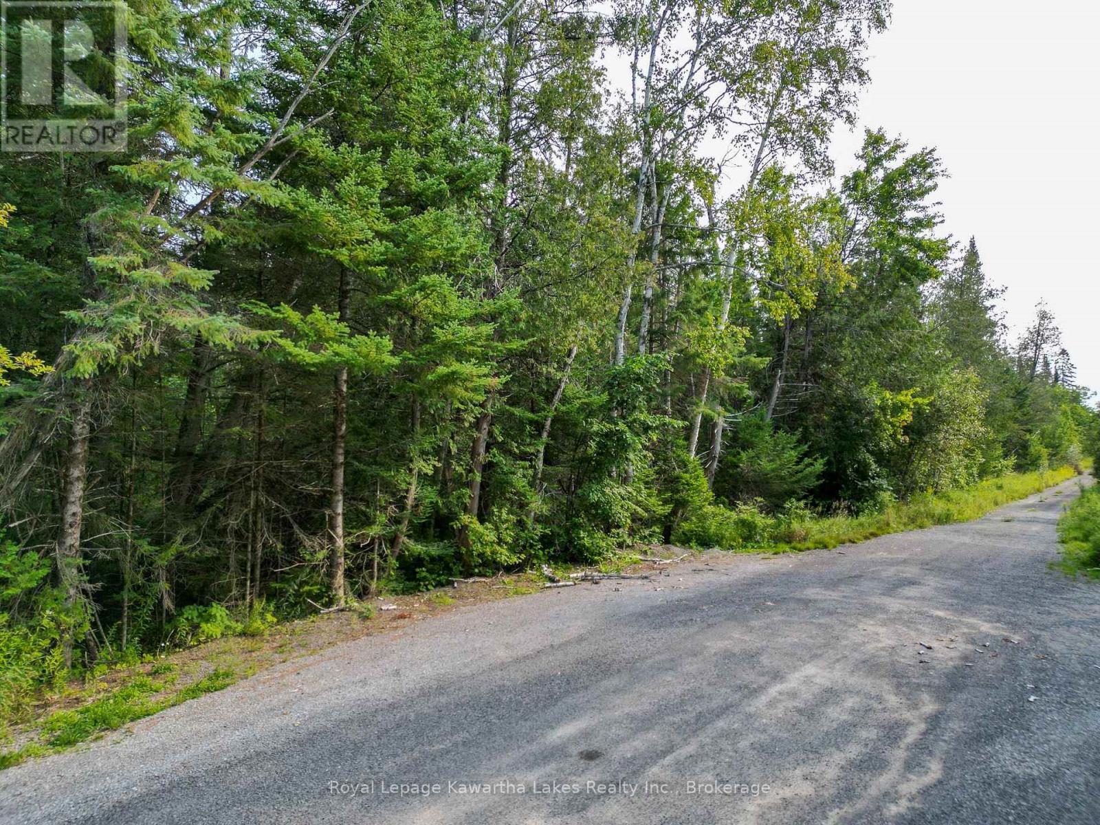 Lt 4 Dutch Line Road W, Trent Lakes, Ontario  K0M 2A0 - Photo 4 - X13670424