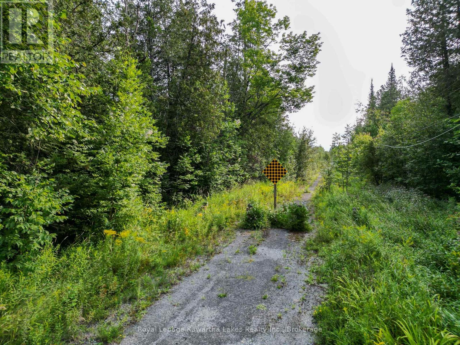 Lt 4 Dutch Line Road W, Trent Lakes, Ontario  K0M 2A0 - Photo 5 - X13670424