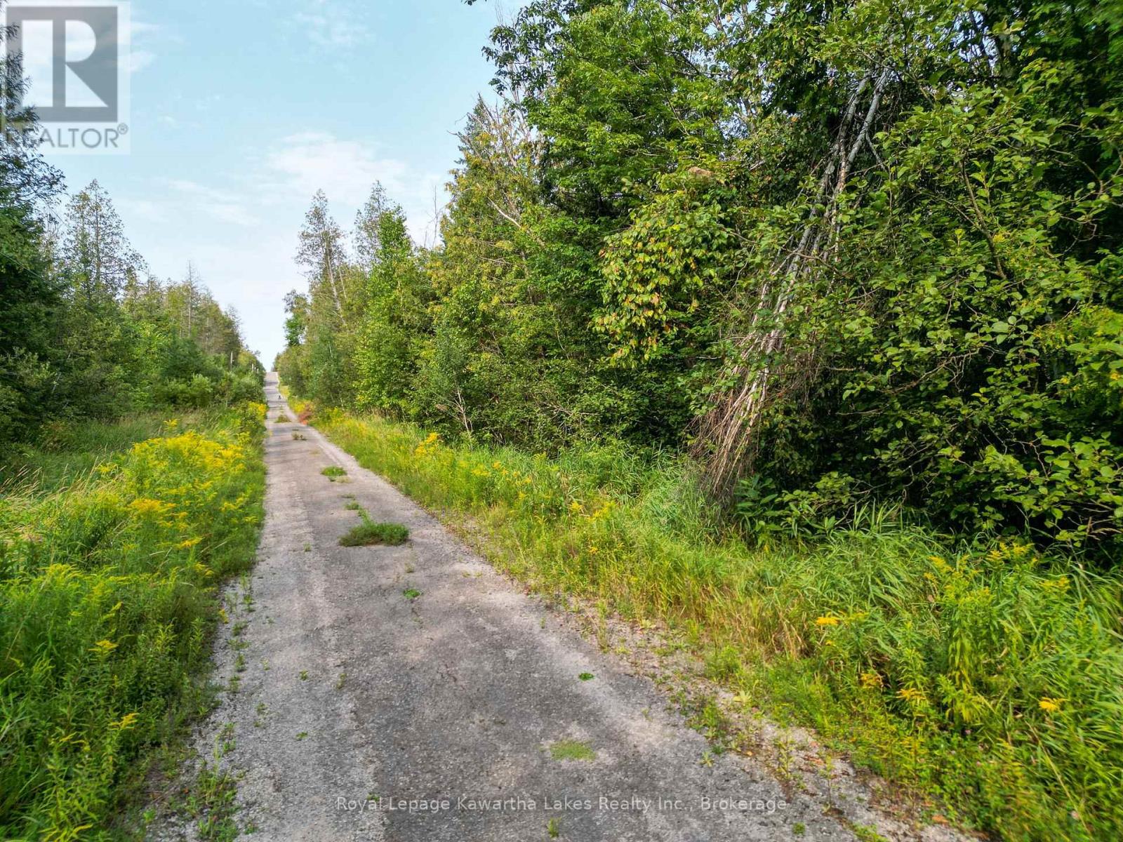Lt 4 Dutch Line Road W, Trent Lakes, Ontario  K0M 2A0 - Photo 6 - X13670424