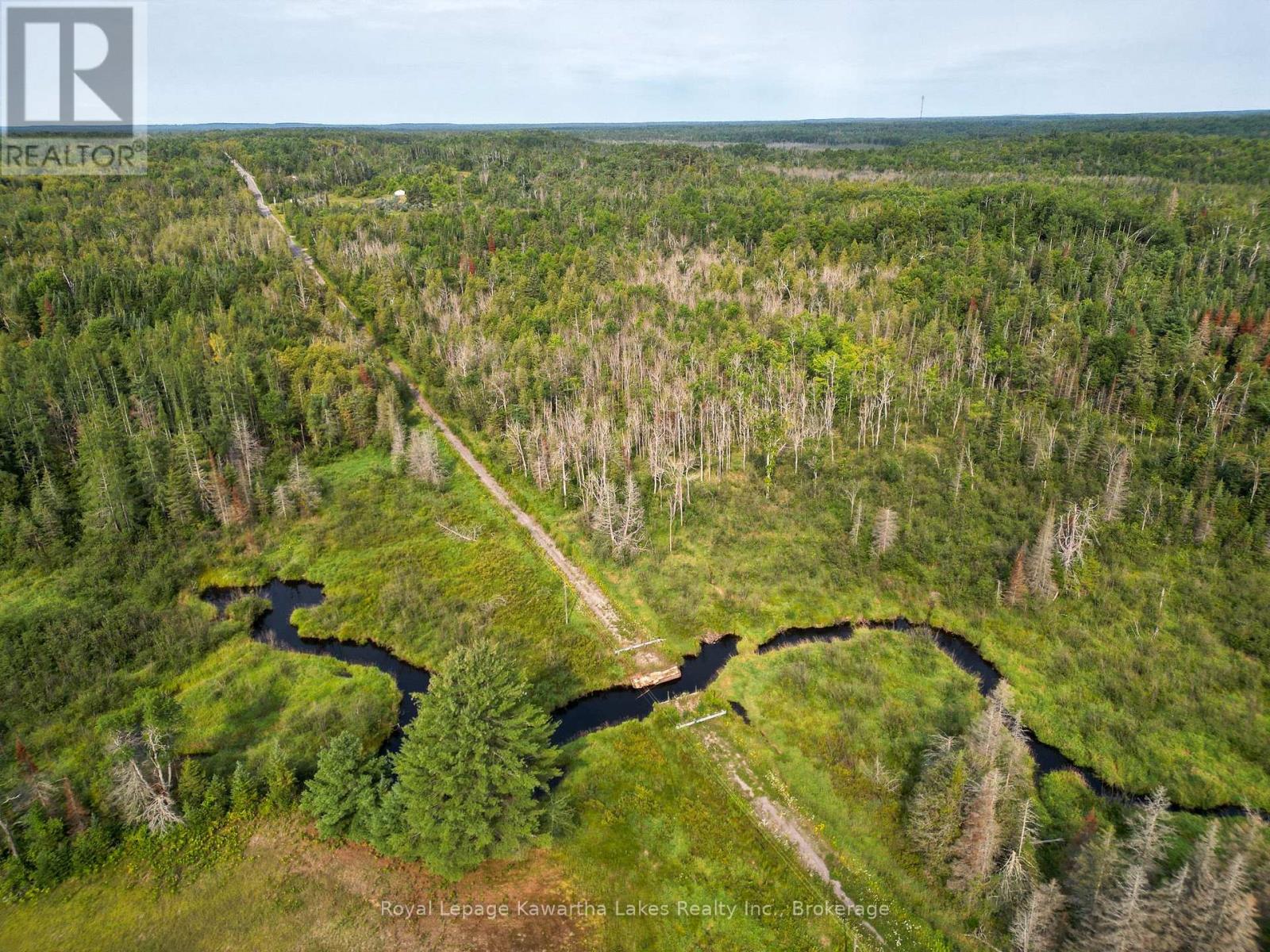 Lt 4 Dutch Line Road W, Trent Lakes, Ontario  K0M 2A0 - Photo 7 - X13670424