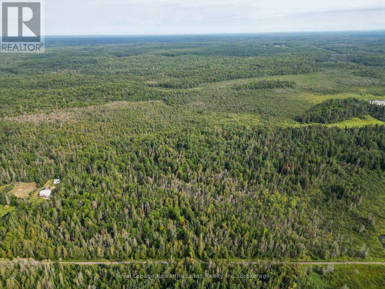 Lt 4 Dutch Line Road W, Trent Lakes, Ontario  K0M 2A0 - Photo 8 - X13670424